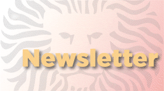 Newsletter - Coordinación de Internacionalización (CI)